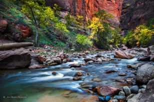 Zion Canyon, Fall-4527.jpg